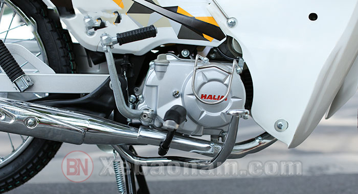 Động cơ xe cub halim 50cc