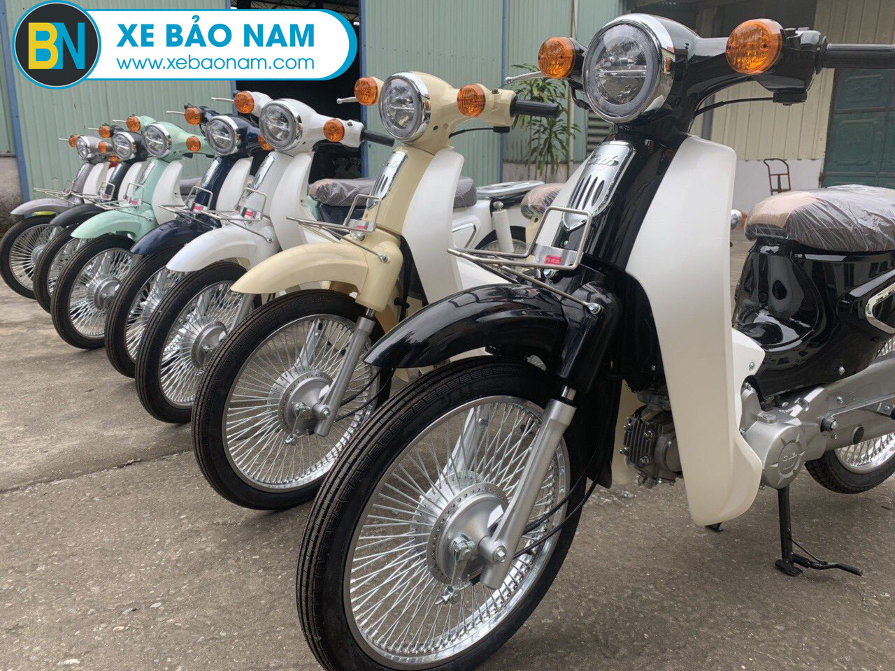 xe-may-cub-classic-50